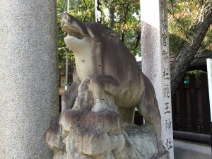 IMG_0076