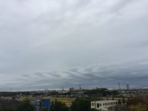 IMG_0185