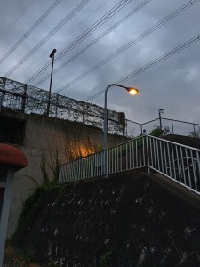 IMG_9766