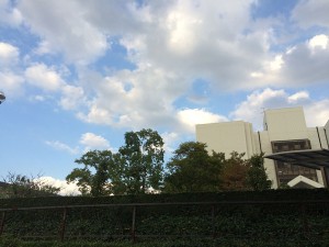 IMG_9810