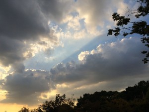 IMG_9813