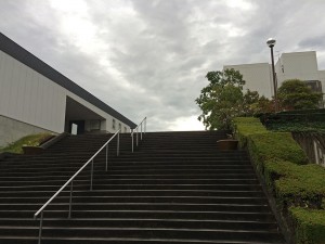 IMG_9980