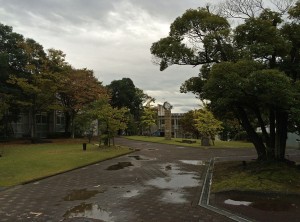 IMG_9982