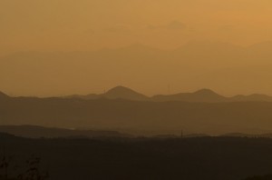 DSC_4479