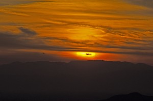 DSC_4509