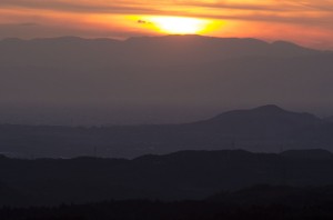 DSC_4523