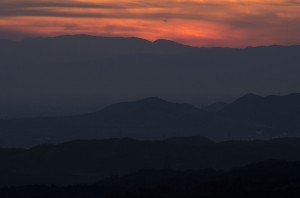 DSC_4548