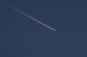 DSC_4556