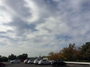 IMG_0456