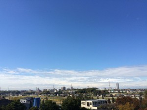 IMG_0481