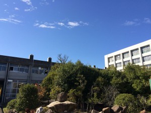 IMG_0486