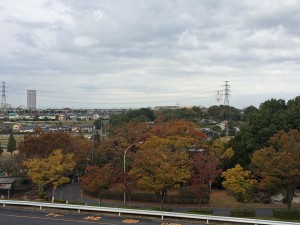 IMG_0511