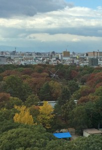 IMG_0604