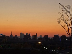 IMG_0785