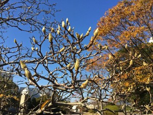 IMG_0844