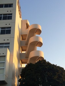 IMG_0880