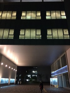IMG_0941