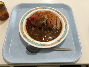 IMG_0951