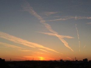 IMG_0958
