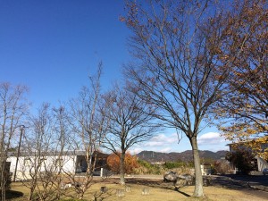 IMG_0001b