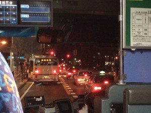 IMG_0008b