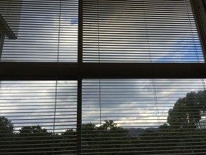 IMG_1138