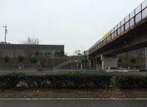 IMG_1146