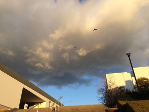 IMG_1326