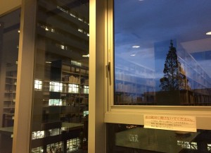 IMG_1377