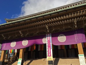IMG_1384