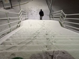 IMG_1491