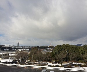 IMG_1493