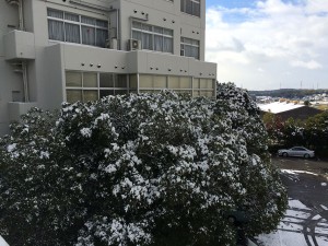 IMG_1494