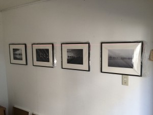IMG_1594