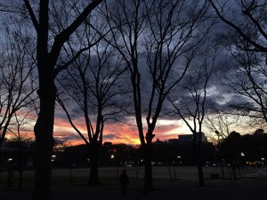 IMG_1768