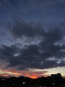 IMG_1781