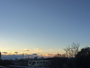 IMG_1830