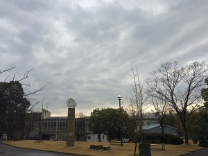 IMG_2037