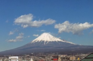 IMG_2229