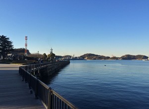 IMG_2258