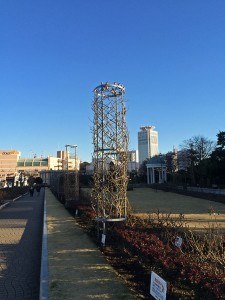 IMG_2262