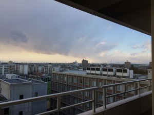 IMG_2761