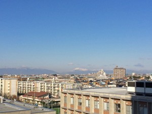 IMG_2807