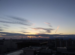 IMG_2850