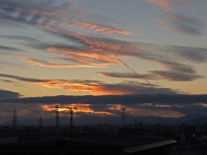 IMG_2858