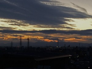 IMG_2869