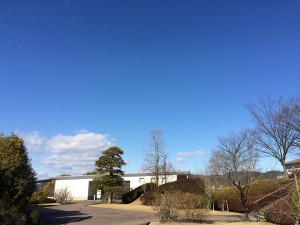 IMG_2963