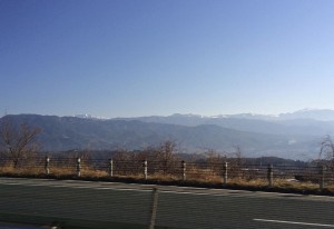 IMG_3019
