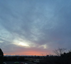 IMG_3227