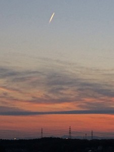 IMG_3301